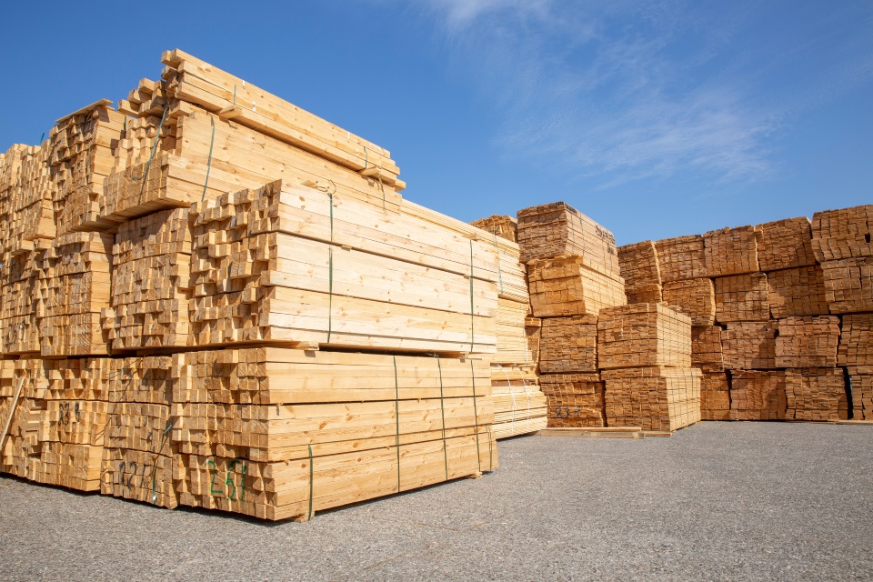 Timber and wooden sticks stacked outdoors